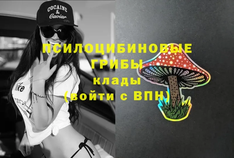 Галлюциногенные грибы Magic Shrooms  как найти закладки  Высоковск 